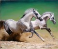 am030D animal racehorse